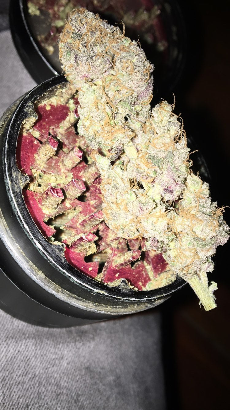Northern Lights - Indica | Flores por Gramo